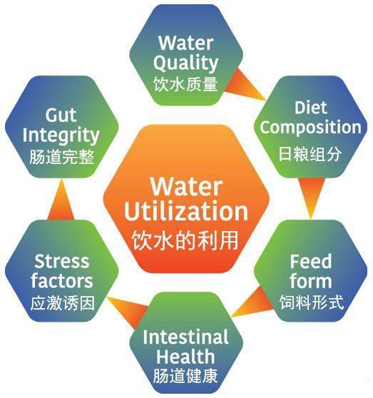 無處不在的水線問題，凈化刻不容緩——二甲酸鉀來解決
